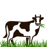 com.yam.feedcalc
