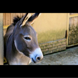 com.app.myapp.HQPTbgydHV