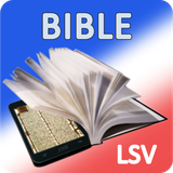 com.solvus_lab.android.BibleFR_lsv