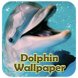 com.zaynmedia.dolphin_wallpaper_live