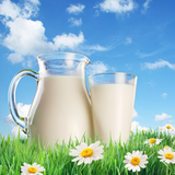iran.milk.farsibook