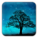 com.teragon.nightsky.lite