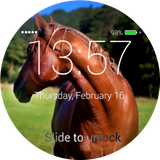 com.rich.horseslockscreen