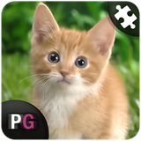 com.persiagraph.puzzroid.animals