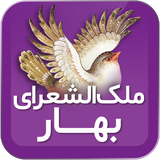 com.hosseinm.nebesht.bahar