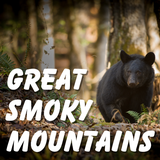 com.actiontourguide.gsm