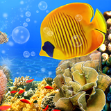 com.AquariumLiveWallpaper
