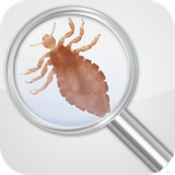 com.ocoletto.licedetector