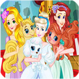 com.ntdh.princesspetbeauty