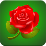 com.image.rose.wallpaper