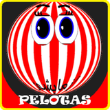 com.companyname.Pelotas