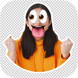 com.appdevl.wsticker