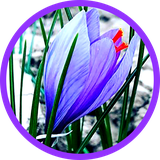 app.asildeylan.ir