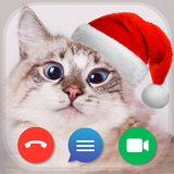 com.vectorm.videocatcalls