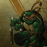 com.ninjas.afs