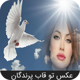 com.advasoft.derde.advasoftparndee