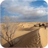 dara.biyabanvakaviriran