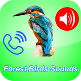 com.pampoapps.forestringtones