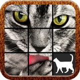 com.FatCat.CatPuzzle