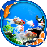 com.CMP.AquariumLiveWallpaper