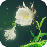 com.xw.art.flowerseries.epiphyllum