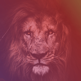 powerxinsta.com.android