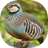 com.mnz_ht.kabk