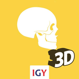 com.igy.anatomy