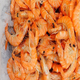 sadra.amozesh.meigoo