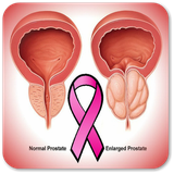 com.andromo.dev712859.app826281