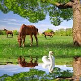 com.latestlivewallpapers.horseslivewallpapers