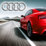 roya.game.audi