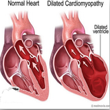 com.ololo.bozorgighalb