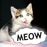 cat.game.sound