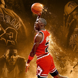 com.draco.ludere.michaelJordan