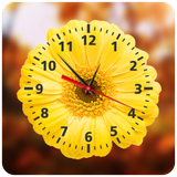 com.appbasic.flowerclock