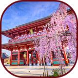 ir.tinasoft.japanese_simple_words