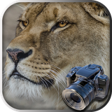 com.crispapp.find.objects.photohunt