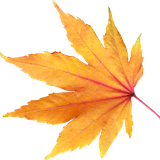 com.gau.go.launcherex.theme.com.gui.theme.simple1445948131910