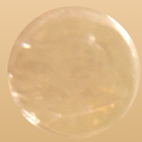 dhw.ict.puchipuchikun