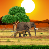 com.amaxlwps.savanna