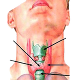 ir.aminb.bimarihayeghodad