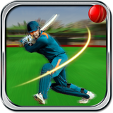 com.mobi.games.cricket