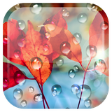 com.androidwasabi.livewallpaper.s4drop