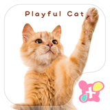 jp.co.a_tm.android.plus_play_cat