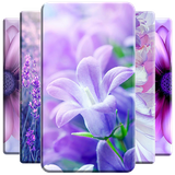 com.andromo.dev672710.app681805