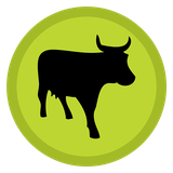 com.flash.flashtrader