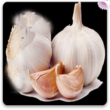 com.mnz_sqlnoimg.sirdarmani