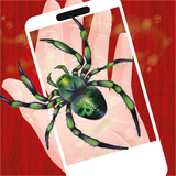 com.asapopdev.spidersimulator