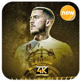 com.EndangArt.Hazard_Wallpaper